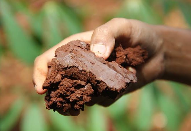 What Causes Expansive Clay Soil Under Foundations and How It Behaves