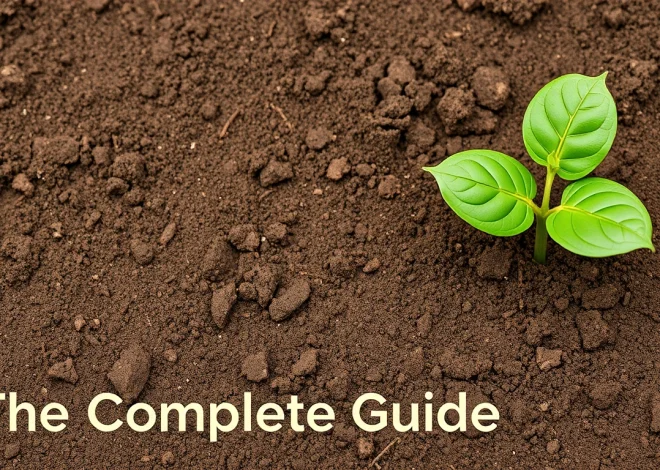 Foundation Soil Problems and Diagnosis — The Complete Guide