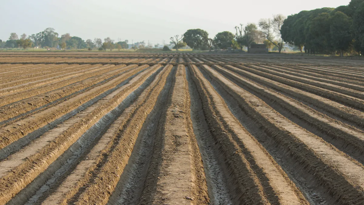 Long plowed rows across a farm field