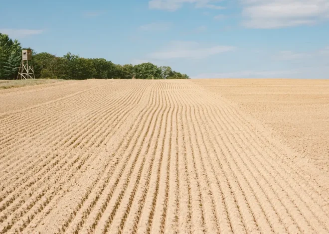 How Soil Stabilization Changes Bearing Capacity